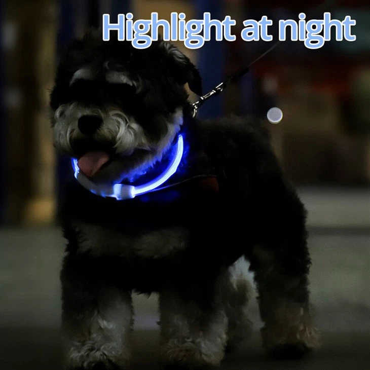 Usb Light Up Led Dog Collar
