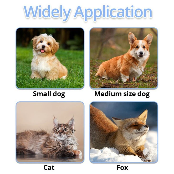 Usb Light Up Led Dog Collar